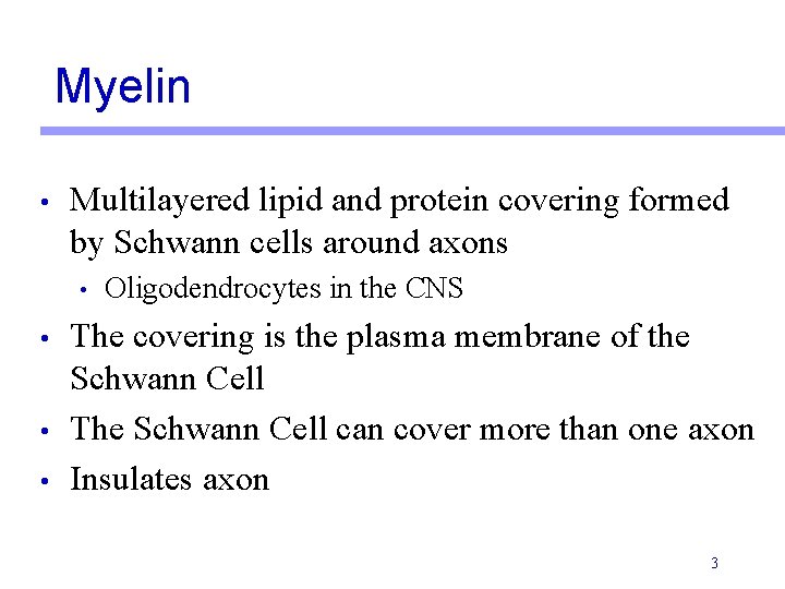 Myelin • Multilayered lipid and protein covering formed by Schwann cells around axons •