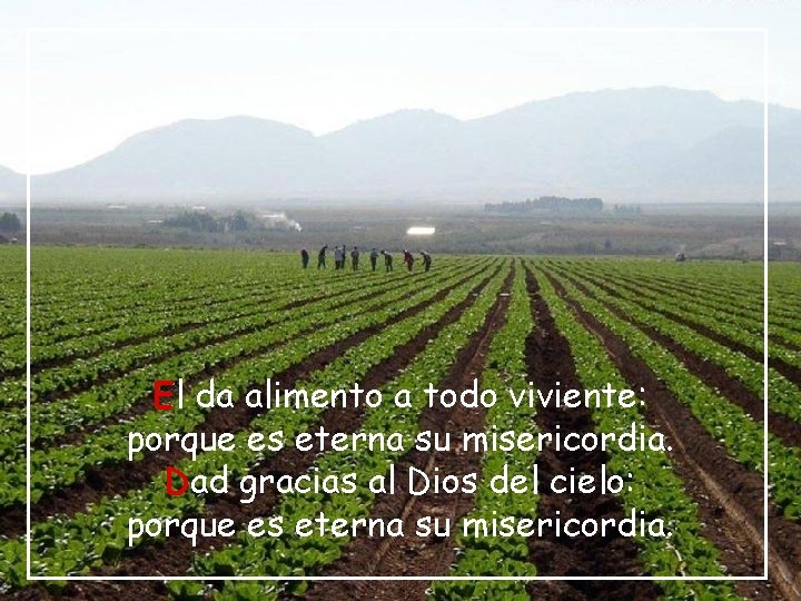 El da alimento a todo viviente: porque es eterna su misericordia. Dad gracias al