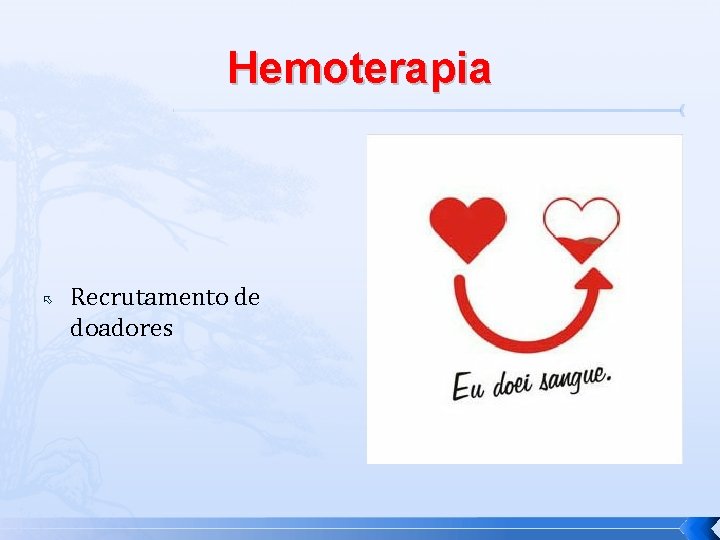 Hemoterapia Recrutamento de doadores 