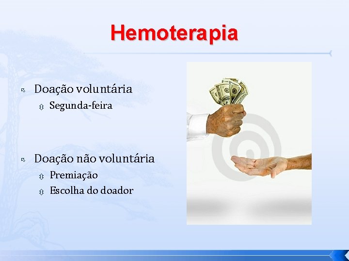 Hemoterapia Doação voluntária Segunda-feira Doação não voluntária Premiação Escolha do doador 