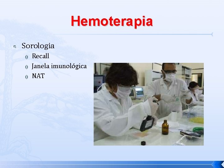 Hemoterapia Sorologia Recall Janela imunológica NAT 