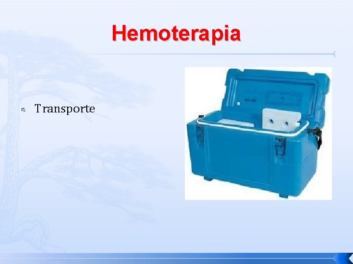 Hemoterapia Transporte 