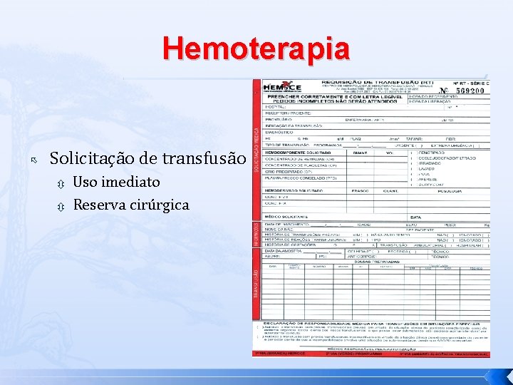 Hemoterapia Solicitação de transfusão Uso imediato Reserva cirúrgica 