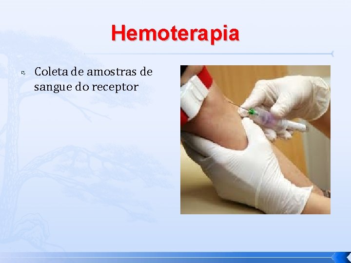 Hemoterapia Coleta de amostras de sangue do receptor 