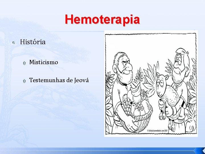 Hemoterapia História Misticismo Testemunhas de Jeová 