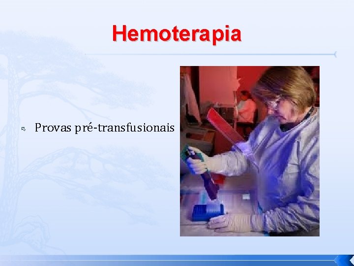 Hemoterapia Provas pré-transfusionais 