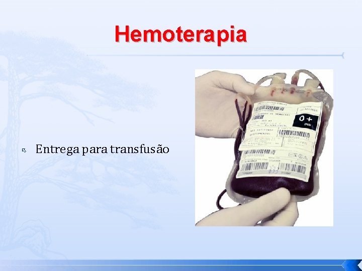 Hemoterapia Entrega para transfusão 