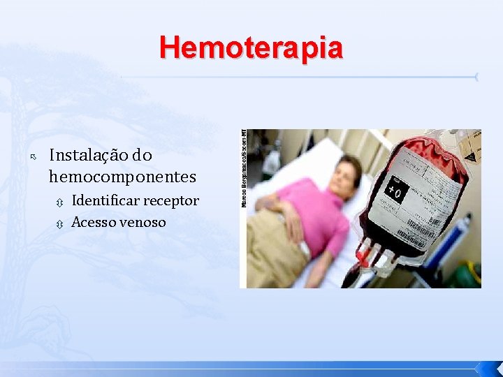 Hemoterapia Instalação do hemocomponentes Identificar receptor Acesso venoso 