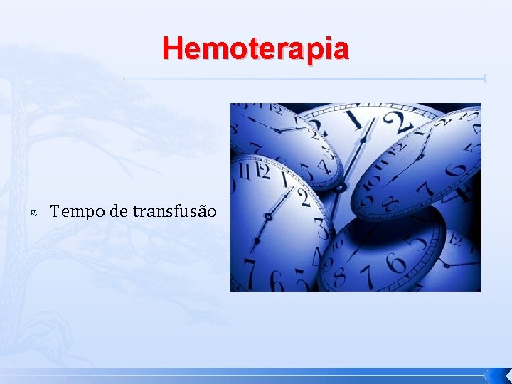 Hemoterapia Tempo de transfusão 