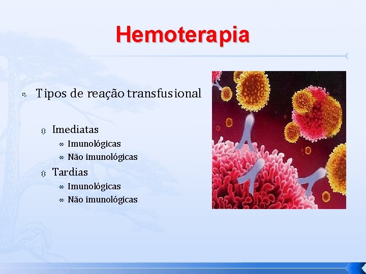 Hemoterapia Tipos de reação transfusional Imediatas Imunológicas Não imunológicas Tardias Imunológicas Não imunológicas 