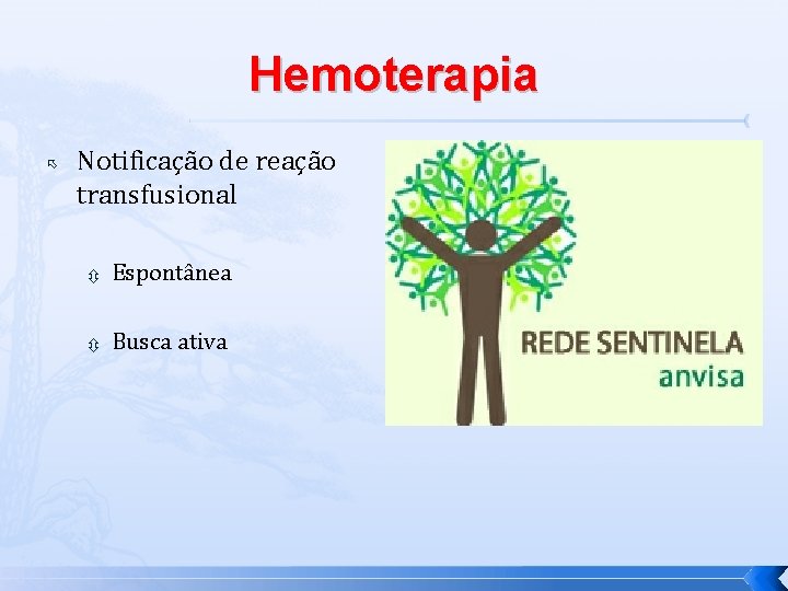 Hemoterapia Notificação de reação transfusional Espontânea Busca ativa 