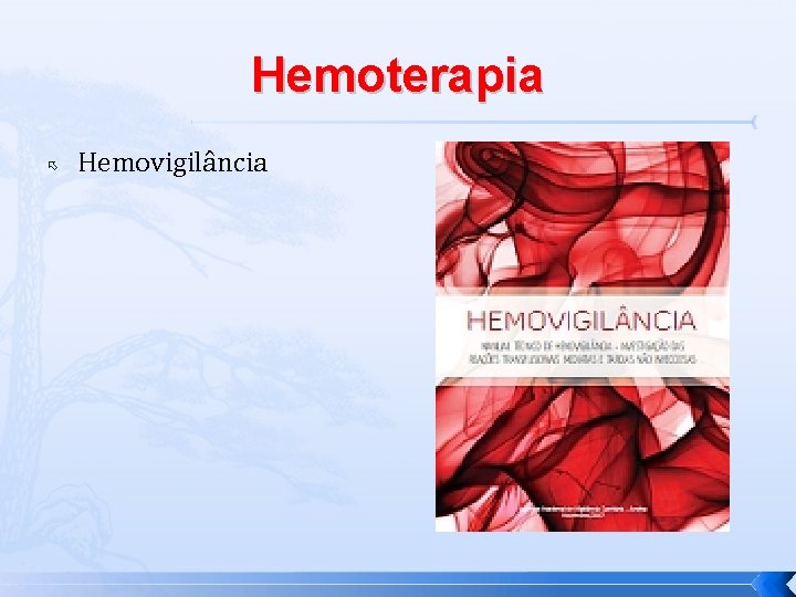 Hemoterapia Hemovigilância 