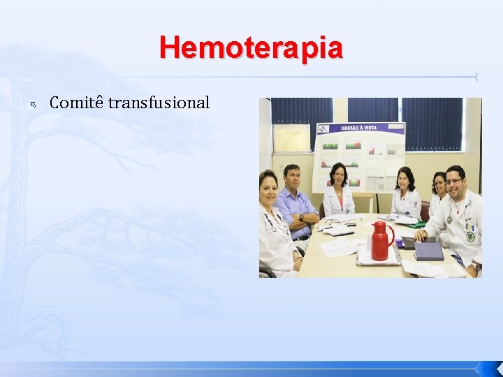 Hemoterapia Comitê transfusional 