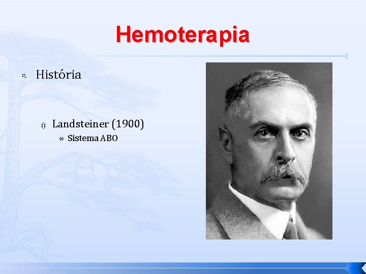 Hemoterapia História Landsteiner (1900) Sistema ABO 