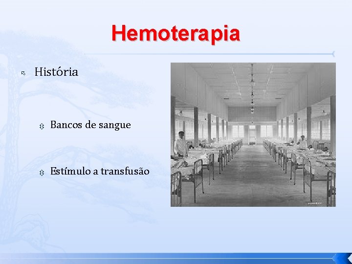 Hemoterapia História Bancos de sangue Estímulo a transfusão 