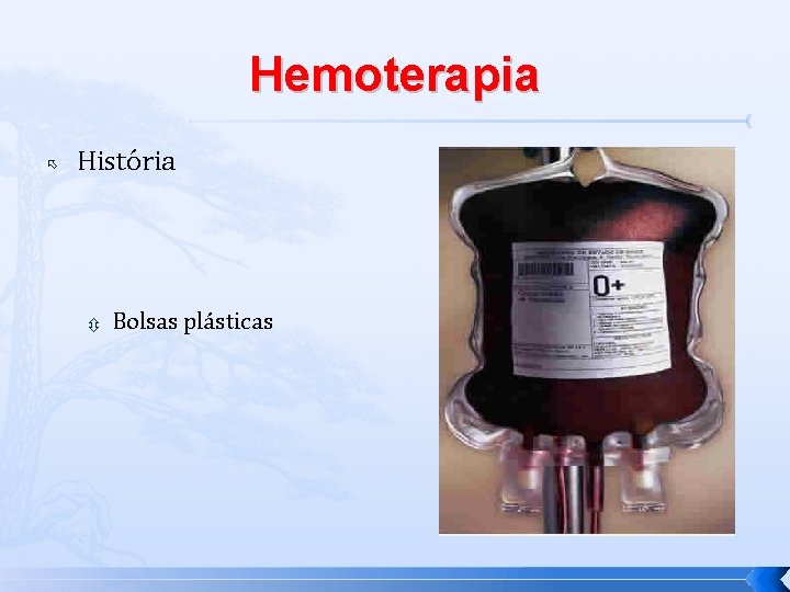 Hemoterapia História Bolsas plásticas 