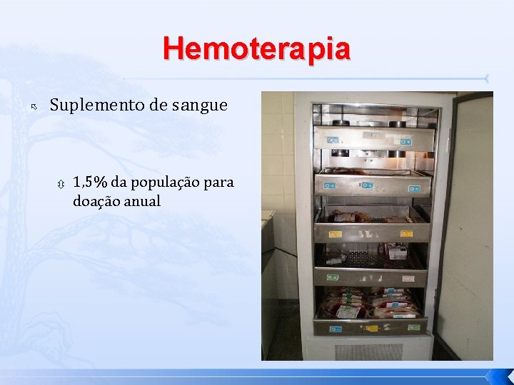 Hemoterapia Suplemento de sangue 1, 5% da população para doação anual 