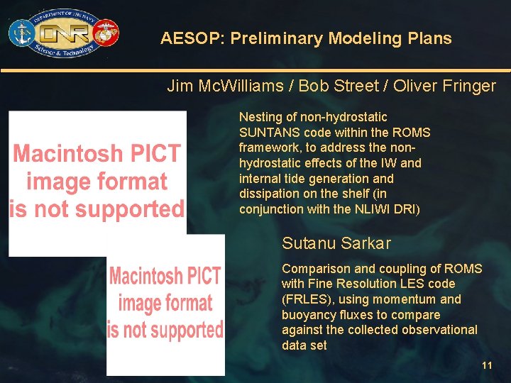 AESOP: Preliminary Modeling Plans Jim Mc. Williams / Bob Street / Oliver Fringer Nesting