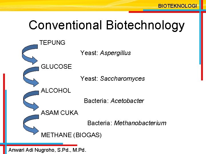 BIOTEKNOLOGI Conventional Biotechnology TEPUNG Yeast: Aspergillus GLUCOSE Yeast: Saccharomyces ALCOHOL Bacteria: Acetobacter ASAM CUKA