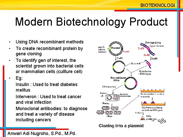 BIOTEKNOLOGI Modern Biotechnology Product • • Using DNA recombinant methods To create recombinant protein