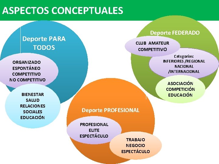 ASPECTOS CONCEPTUALES Deporte FEDERADO Deporte PARA TODOS CLUB AMATEUR COMPETITIVO Categorías: INFERIORES /REGIONAL NACIONAL