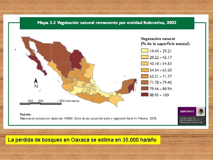 La pérdida de bosques en Oaxaca se estima en 35, 000 ha/año 