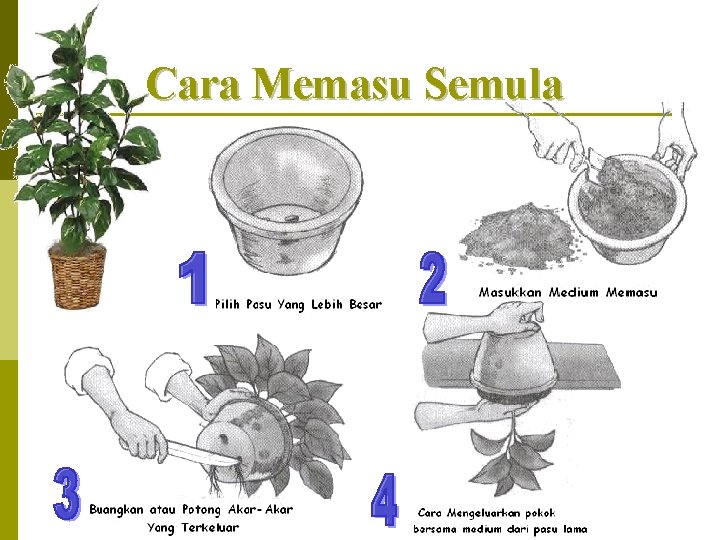 Cara Memasu Semula 