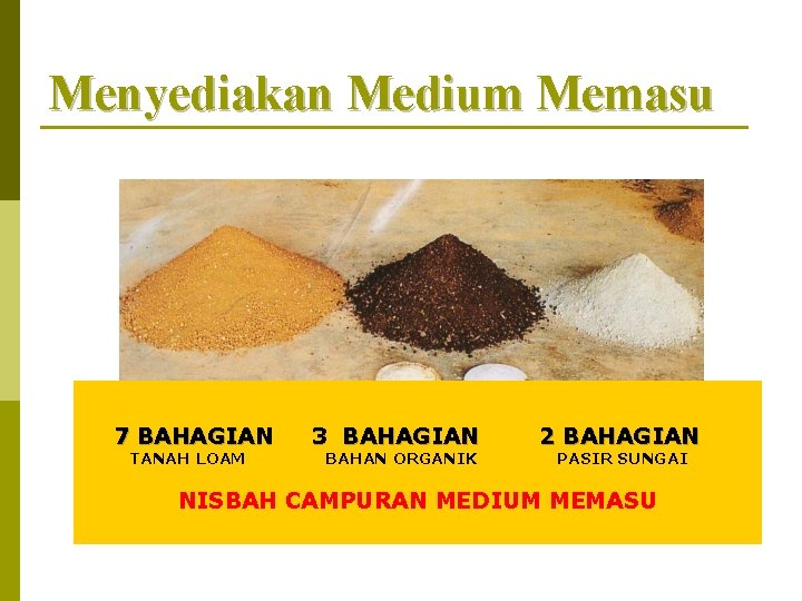 Menyediakan Medium Memasu 7 BAHAGIAN TANAH LOAM 3 BAHAGIAN BAHAN ORGANIK 2 BAHAGIAN PASIR