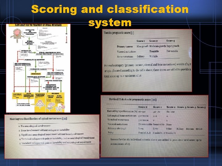 Scoring and classification system 