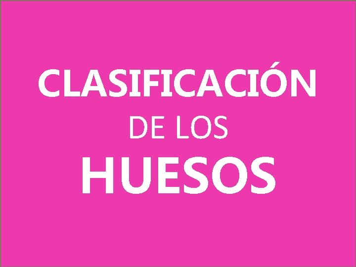 CLASIFICACIÓN DE LOS HUESOS CLASIFICACIÓN DE LOS HUESOS