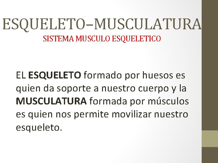 ESQUELETO–MUSCULATURA SISTEMA MUSCULO ESQUELETICO EL ESQUELETO formado por huesos es quien da soporte a ESQUELETO–MUSCULATURA SISTEMA MUSCULO ESQUELETICO EL ESQUELETO formado por huesos es quien da soporte a