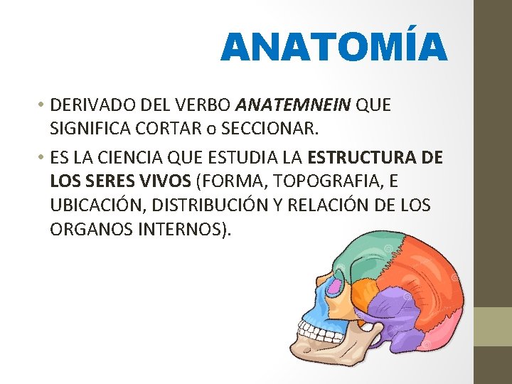 ANATOMÍA • DERIVADO DEL VERBO ANATEMNEIN QUE SIGNIFICA CORTAR o SECCIONAR. • ES LA ANATOMÍA • DERIVADO DEL VERBO ANATEMNEIN QUE SIGNIFICA CORTAR o SECCIONAR. • ES LA