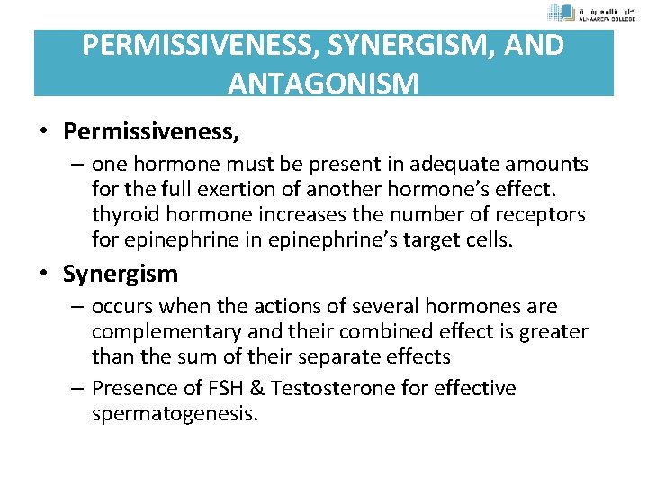 PERMISSIVENESS, SYNERGISM, AND ANTAGONISM • Permissiveness, – one hormone must be present in adequate