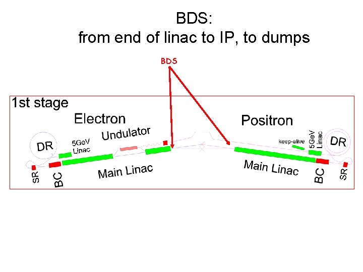 BDS: from end of linac to IP, to dumps BDS 