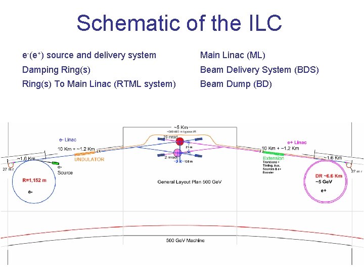 Schematic of the ILC e-(e+) source and delivery system Main Linac (ML) Damping Ring(s)