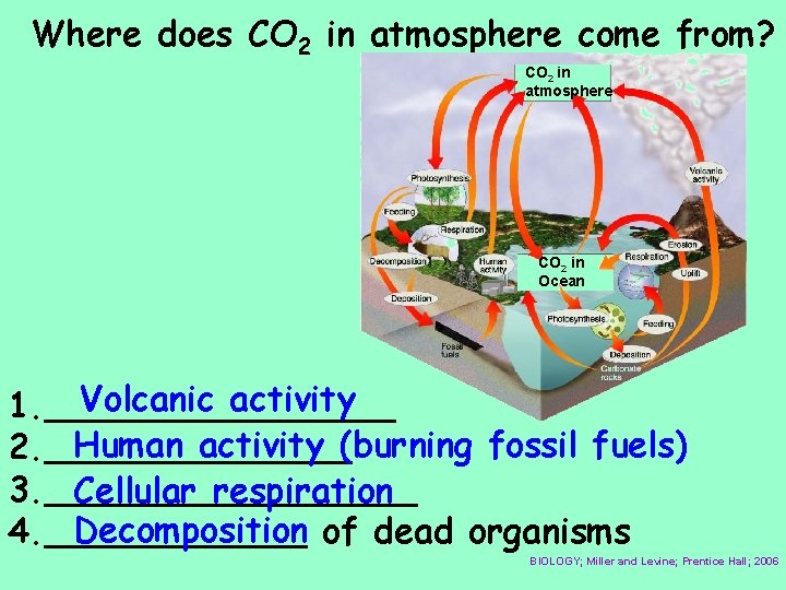 Where does CO 2 in atmosphere come from? CO 2 in atmosphere CO 2