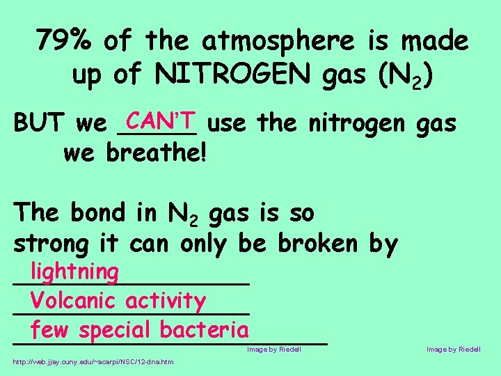 79% of the atmosphere is made up of NITROGEN gas (N 2) CAN’T use