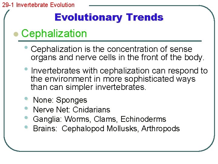 29 -1 Invertebrate Evolutionary Trends l Cephalization • Cephalization is the concentration of sense