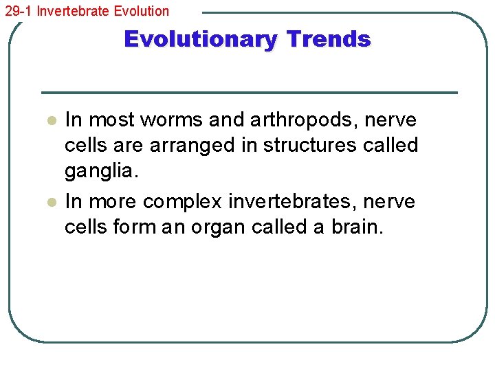 29 -1 Invertebrate Evolutionary Trends l l In most worms and arthropods, nerve cells