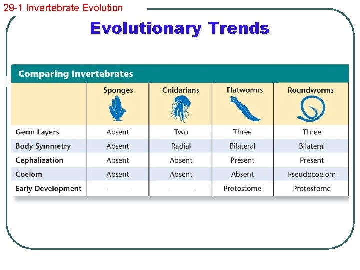 29 -1 Invertebrate Evolutionary Trends 