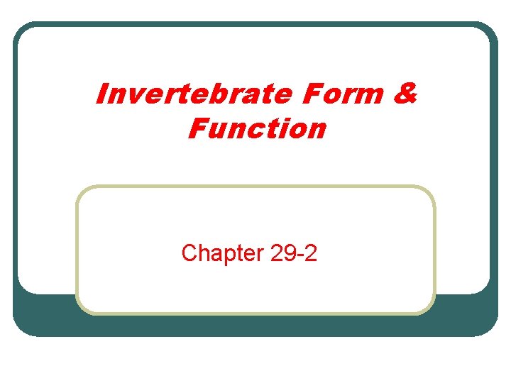 Invertebrate Form & Function Chapter 29 -2 