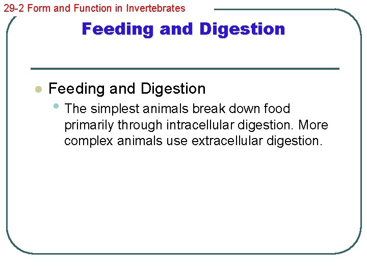 29 -2 Form and Function in Invertebrates Feeding and Digestion l Feeding and Digestion