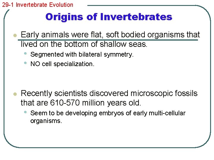 29 -1 Invertebrate Evolution Origins of Invertebrates l Early animals were flat, soft bodied