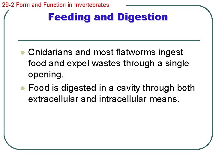 29 -2 Form and Function in Invertebrates Feeding and Digestion l l Cnidarians and