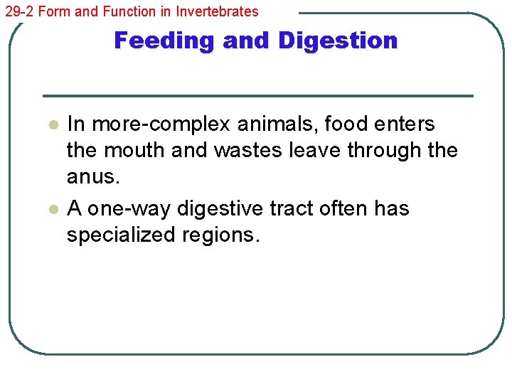 29 -2 Form and Function in Invertebrates Feeding and Digestion l l In more-complex