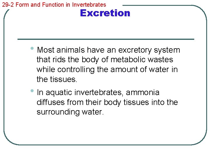 29 -2 Form and Function in Invertebrates Excretion • Most animals have an excretory