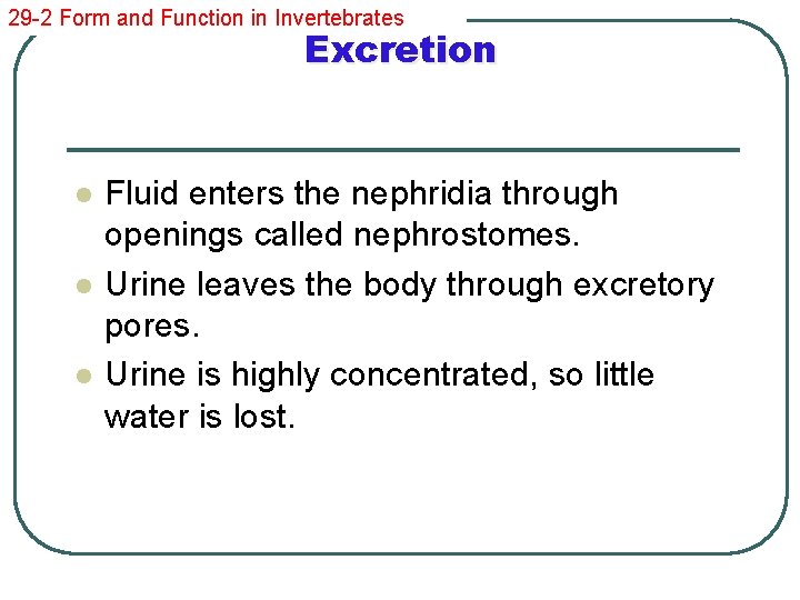 29 -2 Form and Function in Invertebrates Excretion l l l Fluid enters the