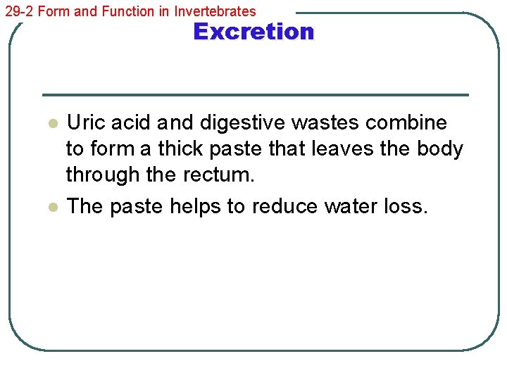 29 -2 Form and Function in Invertebrates Excretion l l Uric acid and digestive