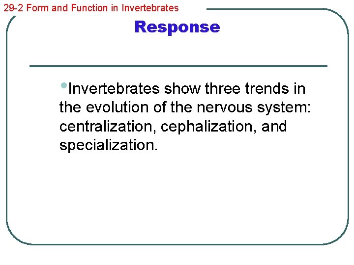 29 -2 Form and Function in Invertebrates Response • Invertebrates show three trends in