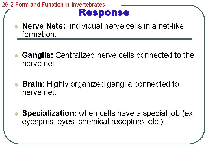 29 -2 Form and Function in Invertebrates Response l Nerve Nets: individual nerve cells